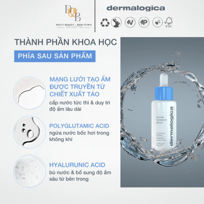 [DERMALOGICA] Huyết thanh cấp ẩm chuyên sâu CIRCULAR HYDRATION SERUM