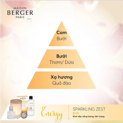 Maison Berger - Lọ tinh dầu khuếch tán hương 180ml Aroma Dream/ Aroma D-Stress/ Aroma Energy 