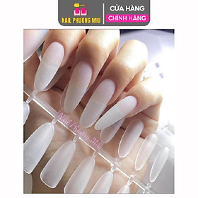 Móng Úp Nhám Form Hạt Gạo Cao Cấp Hộp 240 Móng Vỉ Size S,M,L, Form Nhọn, Bầu, Hạt Gạo Tạo Kiểu Móng, Tập Làm Nail Nữ, Tiện Dụng Nail Phương Miu