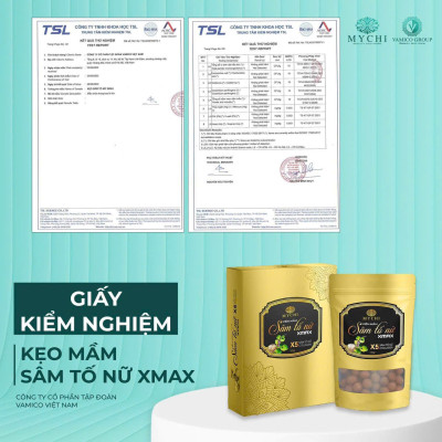 10h  kẹo mầm sâm tố nữ xmax Mychi