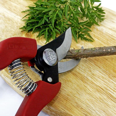 Kéo cắt cành cao cấp Nhật Bản Chikamasa PS-20R chiều dài lưỡi 50mm - lưỡi thép carbon chất lượng cao siêu bén - Cắt ngọt, không bám dính, liền sẹo nhanh