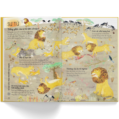 A lê hấp! Thế giới thú dữ - CASA SUNSHINE