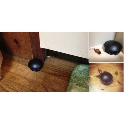 Thuốc Diệt Gián Nhật Bản 12 Viên Cực Kì Hiệu Quả - An Toàn Cho Con Người Và Vật Nuôi