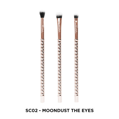 SC02 - BỘ KIT 3 CỌ MẮT VACOSI, PHIÊN BẢN GOLDEN DRAGON - VACOSI MOONDUST THE EYES BRUSH KIT, 3PCS