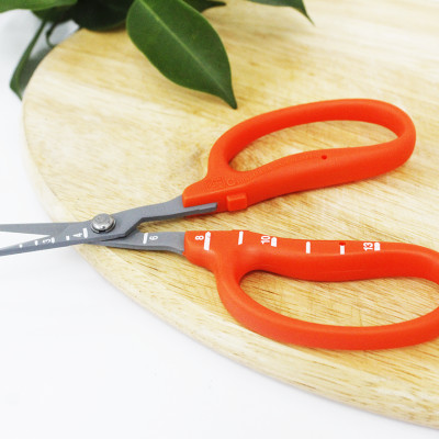 Kéo cắt nho cao cấp Nhật Bản Chikamasa B-500SF