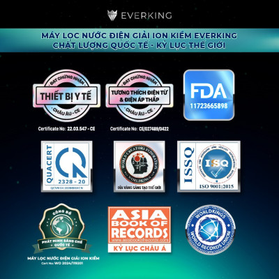 Máy Lọc Nước Điện Giải iON Kiềm EVERKING EKDeluxePlus-117  - Hàng Chính Hãng