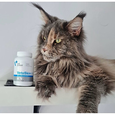 [Hộp 60 viên dầu] Vet Expert VetoSkin Sản phẩm bổ sung cho chó mèo giúp hỗ trợ các vấn đề về da