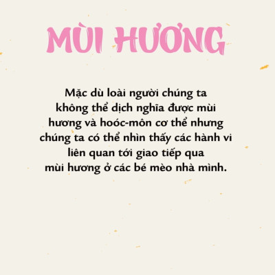 Méo Mèo Meo - Bí Mật Giao Tiếp Từ Cái Vẫy Đuôi Đến Tiếng Grừ Grừ - SGB