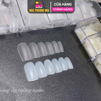 Hộp 240 Móng Up Ngắn Tròn Hạt Na, Vuông Ngắn Làm Nail, Bầu Dẻo Ôm Form Cao Cấp, Nhẹ Bền Đẹp, Móng Úp Dễ Gắn, Làm Móng Đẹp Tự Nhiên