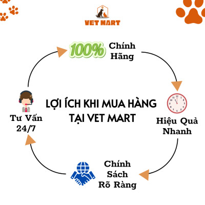 Dung dịch Five-Vitamin C - bổ sung vitamin giúp vật nuôi TĂNG SỨC ĐỀ KHÁNG, GIẢM STRESS, NHANH HỒI PHỤC KHI BỊ BỆNH