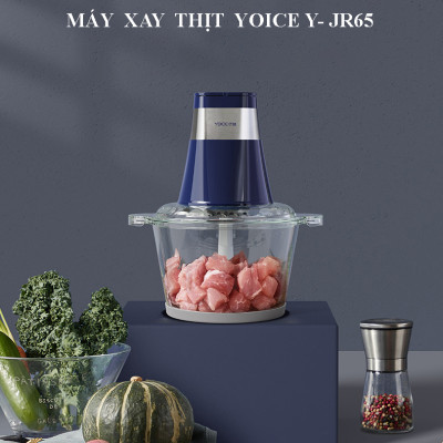 Máy Xay Thịt 2 Lưỡi Kép Yoice Y-JR65 (2L) - Hàng chính hãng