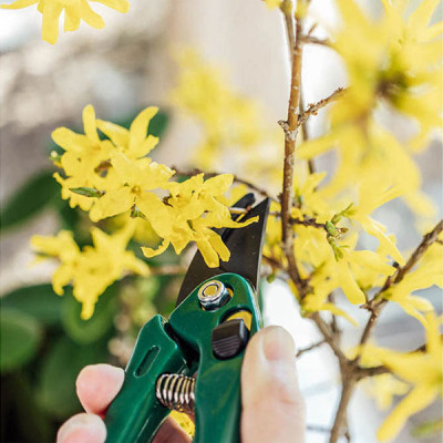 Kéo Cắt Tỉa Cành Cây Chuyên Dụng Echo Metal Tiện Ích, Gọn Nhẹ