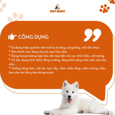 Siêu Kích Mọc Lông Gà Vịt, Chống Cắn Mổ, Nứt Móng Five-Canxi.ADE 1KG, dưỡng Lông Bóng Mượt_Fivevet