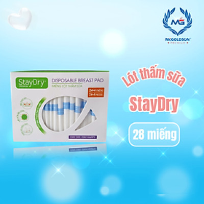 Miếng lót thấm sữa StayDry Premium (28 miếng/hộp)