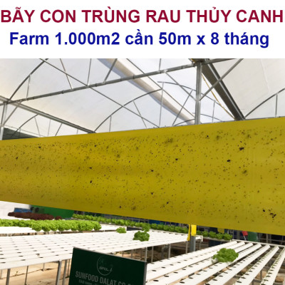 BẪY MÀU CÔN TRÙNG SINH HỌC GADOT ISRAEL CHO RAU SẠCH, RAU THỦY CANH, RAU KHÍ CANH VÀ NÔNG NGHIỆP SẠCH (SET 20 Mét DÀI). Kích thước ngang 0.18M x Dài 20M trải nghiệm