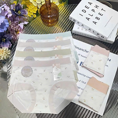 Combo 10 quần lót cotton cao cấp 8807