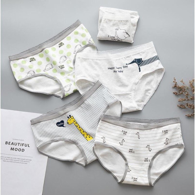 Sét 5 Quần Lót Cotton ( Mã B231)