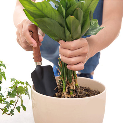 Bộ dụng cụ làm vườn Yamada mini - Nhập khẩu trực tiếp từ Nhật Bản