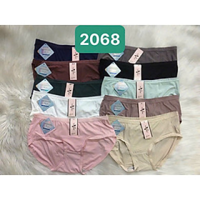 Combo 5 Quần Lót Nữ Thông Hơi Trơn Voronin 2068 – Co Giãn 4 Chiều, Mềm Mịn, Tàng Hình