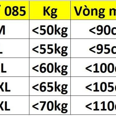Combo 3 Quần Lót Nữ Gen Nhẹ Cao Cấp Locust 085 – Tôn Dáng, Ôm Vừa Vặn (M–3XL)