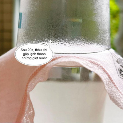 Combo 5 Quần lót nữ kiểu nhật bản thoáng khí chất liệu cotton