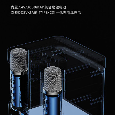 Loa Karaoke Bluetooth SU-YOSO YS-203 Kèm 2 Micro Không Dây ( Hàng Chính Hãng )