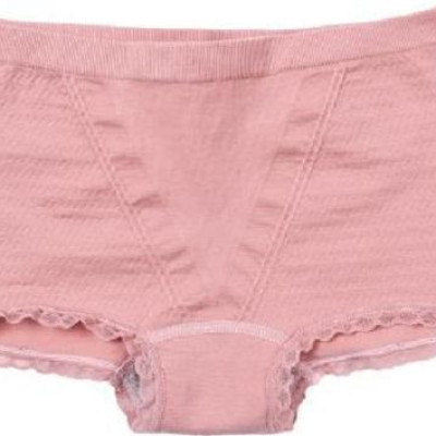 Combo 5 quần lót dạng đùi kháng khuẩn nữ cotton chữ V trơn cạp nhỏ cao cấp dễ thương xuất Nhật QLNU02