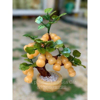 cây hồ lô đá ngọc hoàng long phong thuỷ