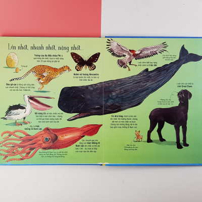 Sách Tương Tác - Big Book - Cuốn Sách Khổng Lồ Về Các Loài Động Vật Khổng Lồ – Đinh Tị