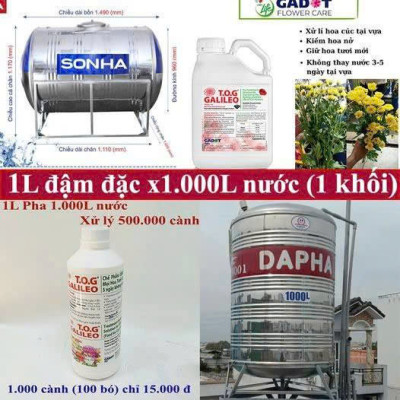 Nước Dưỡng Hoa Tươi Lâu TOG GALILEO nhập khẩu Israel giúp hoa tươi lâu gấp 2 lần và 3-5 ngày không cần thay nước tại nhà vườn, chợ sỉ hoa (1L "đậm đặc" pha 1.000L nước)