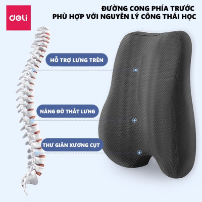 Combo Bộ gối tựa lưng và đệm lót ghế văn phòng DELI, giảm đau mỏi chống gù lưng, hỗ trợ phòng chống đau xương cụt, trĩ
