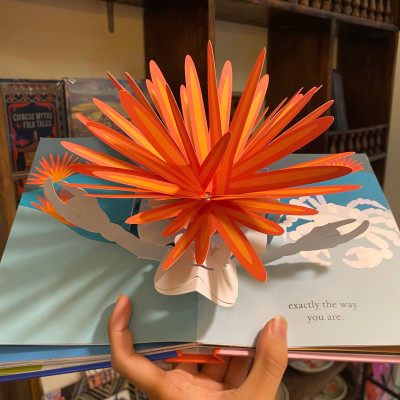 Sách - Love: A Pop-up Celebration by Robert Sabuda