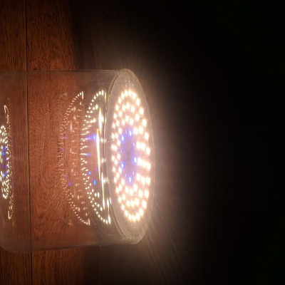 Đèn trồng cây, đèn quang hợp, vượt đông nhà lưới, nhà kính chính hãng Rạng Đông T135 WBU 50W