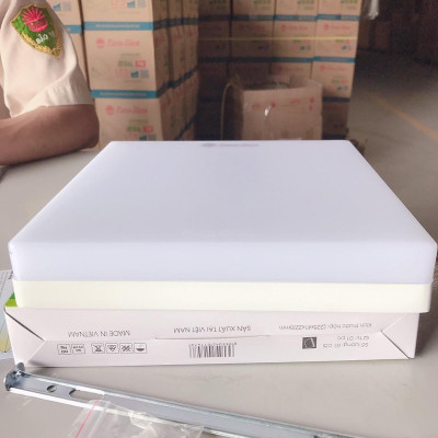 Đèn LED ốp trần cảm biến chuyển động có tích hợp cảm biến ánh sáng dùng cho WC LN12 22X22 18W WC