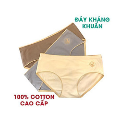 Quần Lót Nữ Q02 Mã O2 Cotton Y Tế Với Đáy Kháng Khuẩn Ép Không Đường May Mặc Thoải Mái Mặc Trong Váy Không Lằn  - giao màu ngẩu nhiên