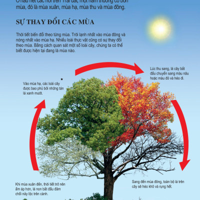 Bách Khoa Tri Thức Dành Cho Trẻ Em