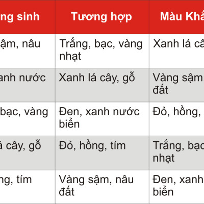 Vòng phong thủy nam Tourmaline đen thiên nhiên VN014