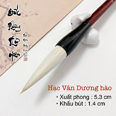 Bút lông sáng tác thư pháp đại tự, vẽ thuỷ mặc dương hào, kiêm hào cỡ lớn