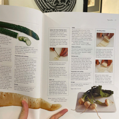 Sách - Japanese Cooking: The Traditions, Techniques, Ingredients & Recipes - Emi Kazuko - Bìa cứng