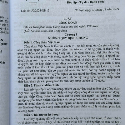 Sách Luật Mặt Trận Tổ Quốc Việt Nam, Luật Công Đoàn, Luật Thanh Niên Và Luật Thực Hiện Dân Chủ Ở Cơ Sở 2025 (V2617T)