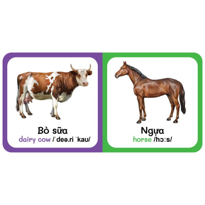 Sách - combo 9 Quyển Từ Điển Bằng Hình Đầu Tiên Của Bé Từ 0-6 tuổi - Song Ngữ Anh- Việt (Các trang đều là Bìa Cứng - màu vàng )