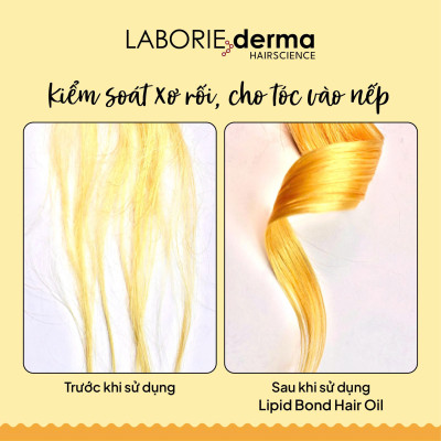 Dầu dưỡng bảo vệ tóc, giúp tóc bóng mượt và chắc khỏe LABORIE derma Lipid Bond Hair Oil - 30ml