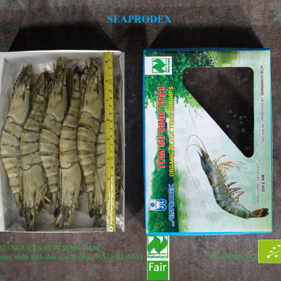 Tôm sú nguyên con sinh thái Seaprodex kích cỡ 6 con/hộp, 500gr