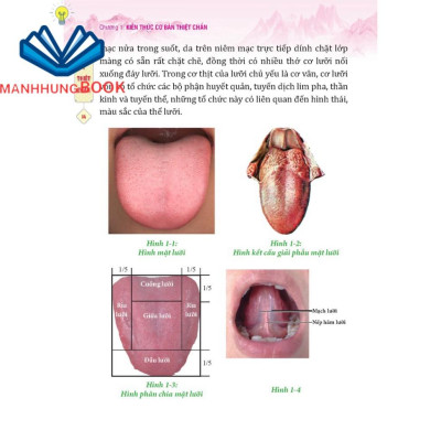 Sách - Đông y thiệt chuẩn (bìa mềm) - tái bản