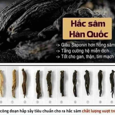 Tinh Chất Hắc Sâm 60 Gói Hàn Quốc Bio Science 