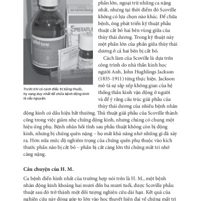 Tâm Lý Học Toàn Thư - Bộ Não Và Tâm Trí