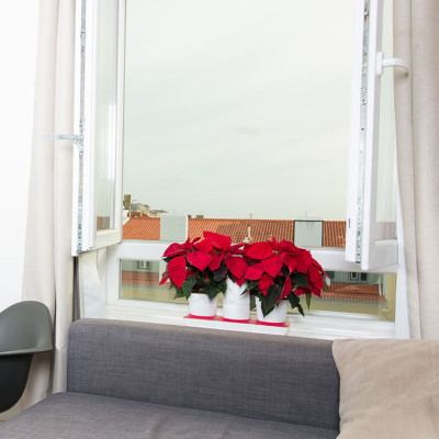 Chậu Để Bàn Thông Minh Tự Động Tưới và Tự động bón phân trong 2 tháng Minigarden Basic S Pots (1 bộ gồm 1 bình chứa nước, 2 chậu trồng và 3 túi dinh dưỡng). Phù hợp trồng cây trong gia đình, văn phòng với thiết kế gọn nhẹ, sang trọng và ít chăm sóc cây