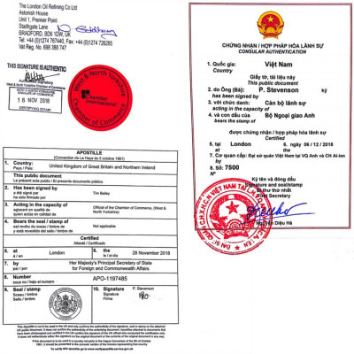 Bình xịt tẩy dầu mỡ & cháy khét Astonish C6750