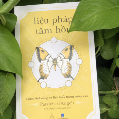 Combo Liệu Pháp Tâm Hồn - Chữa Lành Bằng Trị Liệu Biểu Tượng Nâng Cao; Lấp Đầy Trống Rỗng - Chữa Lành Tổn Thương Cảm Xúc Thời Thơ Ấu