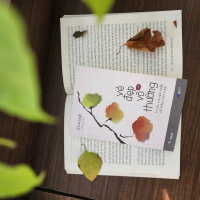 Sách - Vẻ Đẹp Của Vô Thường - 77 Câu Chuyện Thiền Để Sống Tỉnh Thức